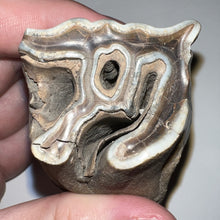 Load image into Gallery viewer, HUGE Ice Age Fossil Woolly Rhinoceros Molar Coelodonta Antiquitatis 3.34 Inches