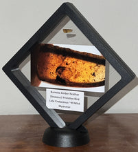 Load image into Gallery viewer, Dinosaur age Burmite Fossil AMBER with SUPER RARE FEATHER! TESTED FOR AUTHENTICITY!!