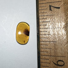 Load image into Gallery viewer, GEM Dinosaur age Burmite Fossil AMBER with SUPER RARE PRISTINE FEATHER CLUSTER! TESTED FOR AUTHENTICITY!!