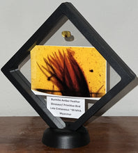 Load image into Gallery viewer, GEM Dinosaur age Burmite Fossil AMBER with SUPER RARE PRISTINE FEATHER CLUSTER! TESTED FOR AUTHENTICITY!!