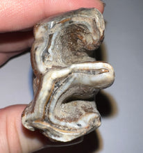 Load image into Gallery viewer, HUGE Pristine Ice Age Fossil Woolly Rhinoceros Molar Coelodonta Antiquitatis 3.76 Inches
