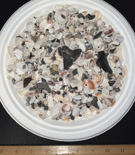 Load image into Gallery viewer, Megalodon Beach Shark Tooth Dig Kit with Real Fossil Shark Teeth and ID Sheet!