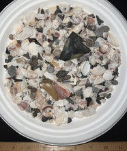 Load image into Gallery viewer, Megalodon Beach Shark Tooth Dig Kit with Real Fossil Shark Teeth and ID Sheet!