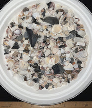 Load image into Gallery viewer, Megalodon Beach Shark Tooth Dig Kit with Real Fossil Shark Teeth and ID Sheet!
