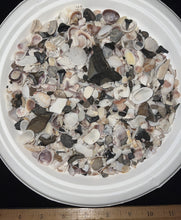 Load image into Gallery viewer, Megalodon Beach Shark Tooth Dig Kit with Real Fossil Shark Teeth and ID Sheet!