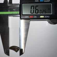 Load image into Gallery viewer, Rare Acheroraptor Fossil Tooth Dromaeosaur True Raptor from the Hell Creek .6 Inches!