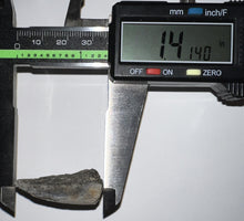 Load image into Gallery viewer, Super Rare Pachycephalosaurus Fossil Dinosaur Claw 1.41 Inches!