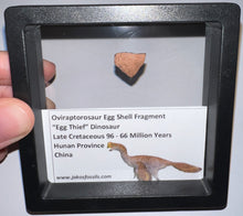 Load image into Gallery viewer, Framed Oviraptor type Dinosaur Eggshell Lot One Per Order .5 Inches