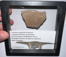 Load image into Gallery viewer, Framed Huge Titanosaur Giant Long Neck Dinosaur Eggshell Lot One Per Order 1.5 to 2 Inches