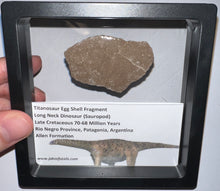 Load image into Gallery viewer, Framed Huge Titanosaur Giant Long Neck Dinosaur Eggshell Lot One Per Order 1.5 to 2 Inches