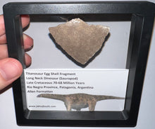 Load image into Gallery viewer, Framed Huge Titanosaur Giant Long Neck Dinosaur Eggshell Lot One Per Order 1.5 to 2 Inches