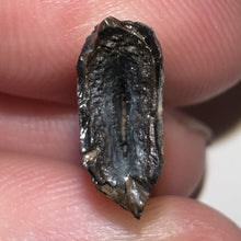 Load image into Gallery viewer, Nanotyrannus Fossil Tooth 1+ Inches with No Repair