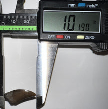 Load image into Gallery viewer, Nanotyrannus Fossil Tooth 1+ Inches with No Repair