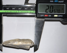 Load image into Gallery viewer, Rare Struthiomimus Fossil Claw from the Hell Creek 2.05 Inches! No Repair