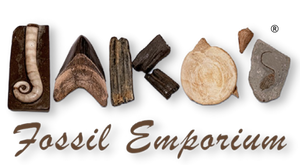Jako's Fossil Emporium