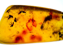 Load image into Gallery viewer, Dinosaur age Burmite Fossil AMBER with 8 Winged Insects! TESTED FOR AUTHENTICITY!!