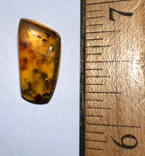Load image into Gallery viewer, Dinosaur age Burmite Fossil AMBER with 8 Winged Insects! TESTED FOR AUTHENTICITY!!