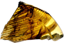 Load image into Gallery viewer, Dinosaur age Burmite Fossil AMBER with Large SUPER RARE FEATHER! 12 MM! TESTED FOR AUTHENTICITY!!