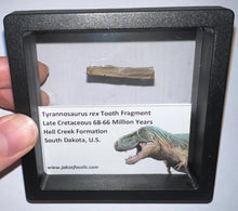 Load image into Gallery viewer, Framed Tyrannosaurus Rex Fossil Tooth Fragments One Per Order