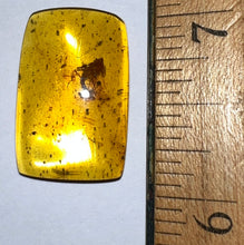Load image into Gallery viewer, GEM Dinosaur age Burmite Fossil AMBER with a Rare SCORPION! TESTED FOR AUTHENTICITY!!