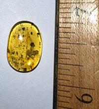 Load image into Gallery viewer, GEM Dinosaur age Burmite Fossil AMBER with a Rare SCORPION! TESTED FOR AUTHENTICITY!!