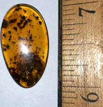 Load image into Gallery viewer, Dinosaur age Burmite Fossil AMBER with a Rare LARGE 8 MM SCORPION! TESTED FOR AUTHENTICITY!!