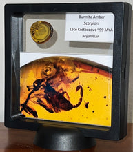 Load image into Gallery viewer, GEM Dinosaur age Burmite Fossil AMBER with a Rare LARGE 8 MM SCORPION! TESTED FOR AUTHENTICITY!!