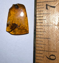 Load image into Gallery viewer, Dinosaur age Burmite Fossil AMBER with a Rare SCORPION! TESTED FOR AUTHENTICITY!!