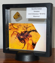 Load image into Gallery viewer, Dinosaur age Burmite Fossil AMBER with a Rare SCORPION! TESTED FOR AUTHENTICITY!!