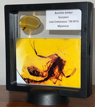 Load image into Gallery viewer, Dinosaur age Burmite Fossil AMBER with a Rare SCORPION! TESTED FOR AUTHENTICITY!!
