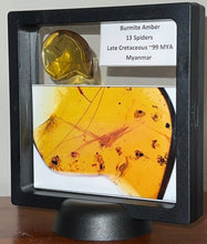 Load image into Gallery viewer, GEM Dinosaur age Burmite Fossil AMBER with rare SPIDER SWARM! 13 SPIDERS! TESTED FOR AUTHENTICITY!!