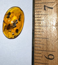 Load image into Gallery viewer, GEM Dinosaur age Burmite Fossil AMBER with rare HUGE 7 MM SPIDER! TESTED FOR AUTHENTICITY!!
