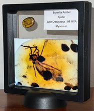 Load image into Gallery viewer, GEM Dinosaur age Burmite Fossil AMBER with rare HUGE 7 MM SPIDER! TESTED FOR AUTHENTICITY!!