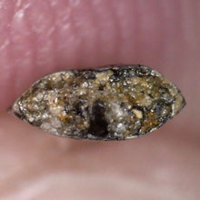 Load image into Gallery viewer, Rare Richardoestesia Fossil Tooth Raptor Relative from the Hell Creek .328 Inches!