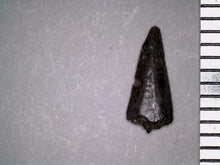 Load image into Gallery viewer, Rare Richardoestesia Fossil Tooth Raptor Relative from the Hell Creek .328 Inches!