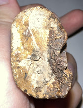 Load image into Gallery viewer, Tyrannosaurus Rex MONSTER SIZE Fossil Tooth 3.585 Inches Hell Creek Formation Montana NO REPAIR!
