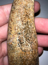 Load image into Gallery viewer, Tyrannosaurus Rex MONSTER SIZE Fossil Tooth 3.7055 Inches Lance Formation Wyoming NO REPAIR!