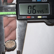 Load image into Gallery viewer, Suchomimus Fossil Tooth VERY RARE!! 1.82 Inches!