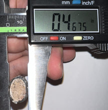 Load image into Gallery viewer, Suchomimus Fossil Tooth VERY RARE!! 1.82 Inches!