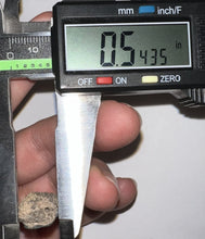 Load image into Gallery viewer, Suchomimus Fossil Tooth VERY RARE!! 1.64 Inches!