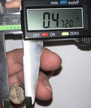 Load image into Gallery viewer, Suchomimus Fossil Tooth VERY RARE!! 1.64 Inches!