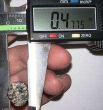 Load image into Gallery viewer, Suchomimus Fossil Tooth VERY RARE!! 1.76 Inches!