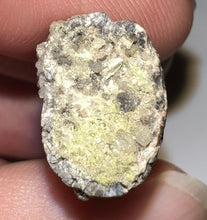 Load image into Gallery viewer, Suchomimus Fossil Tooth VERY RARE!! 1.74 Inches!