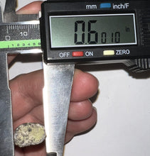 Load image into Gallery viewer, Suchomimus Fossil Tooth VERY RARE!! 1.74 Inches!