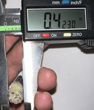 Load image into Gallery viewer, Suchomimus Fossil Tooth VERY RARE!! 1.74 Inches!