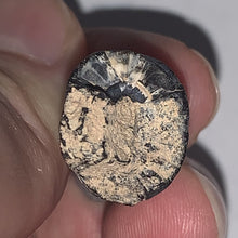 Load image into Gallery viewer, Serrated Suchomimus Fossil Tooth 1.45 Inches VERY RARE!!