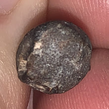 Load image into Gallery viewer, Suchomimus Juvenile Fossil Tooth VERY RARE!! .875 Inches!