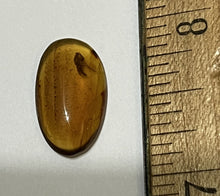 Load image into Gallery viewer, Dinosaur age Burmite Fossil AMBER with a Rare Pristine PARASITOID BEETLE RIPIPHORIDAE! TESTED FOR AUTHENTICITY!!
