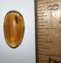 Load image into Gallery viewer, Dinosaur age Burmite Fossil AMBER with a Rare Pristine PARASITOID BEETLE RIPIPHORIDAE! TESTED FOR AUTHENTICITY!!