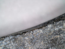 Load image into Gallery viewer, Serrated Suchomimus Fossil Tooth 1.45 Inches VERY RARE!!